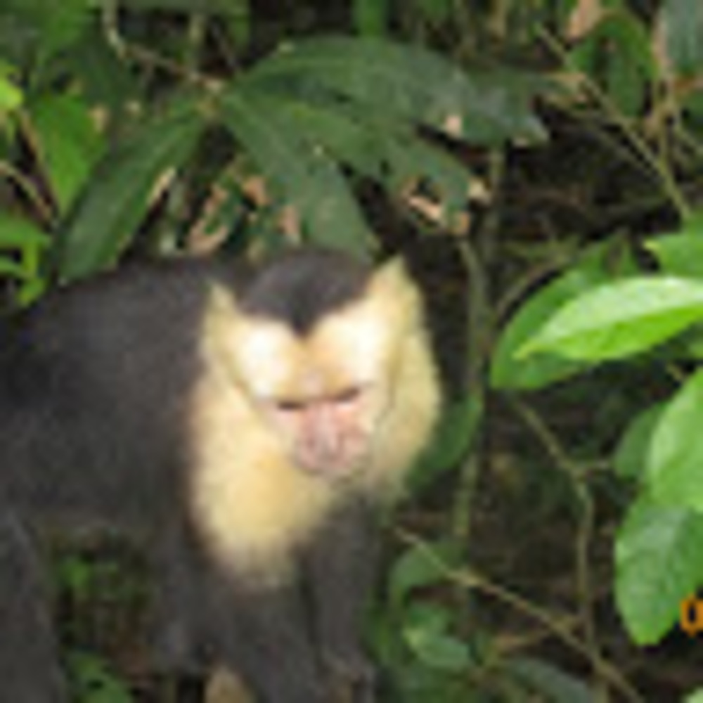 Meet your Posher, Julian